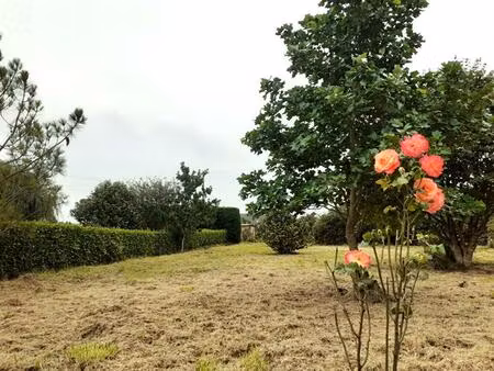 terrain constructible à bâtir de 1 200 m² à telgruc sur mer (29 560) - presqu'ile de crozo