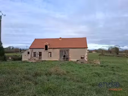 vente maison 3 pièces 50 m² à vesdun (18360)  43 500 €