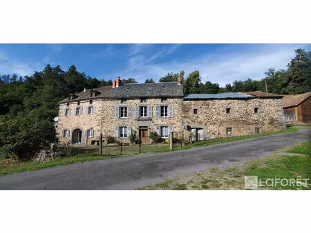 maison villedieu 9 pièce(s) 248 m2