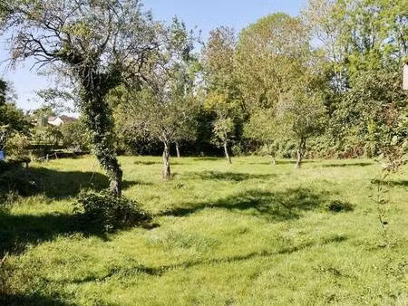 terrain constructible 1466 m2