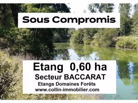 en vente terrain constructible 60 ares – 29 000 € |baccarat
