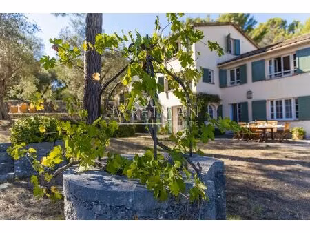 belle maison avec piscine et grand terrain - grasse st jacques