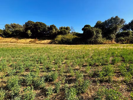 terrain 0 pièces 1200 m² à vendre / acheter bastelicaccia 20129 ? | era immobilier