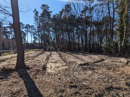 nieuwe bouwgronden in groene omgeving in houthalen-helchteren