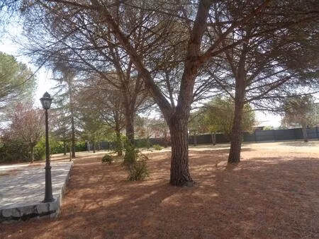 vente maison 6 pièces 251 m² pins-justaret (31860)