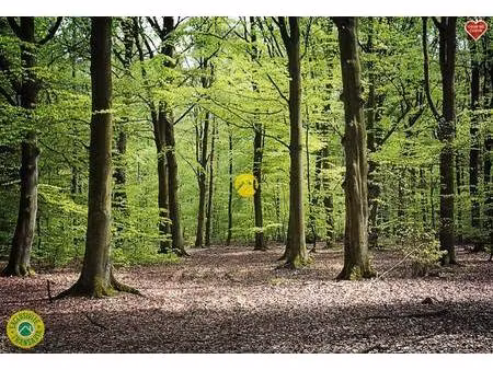 local commercial à vendre