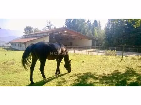 maison avec terrasse contamine-sur-arve (74)