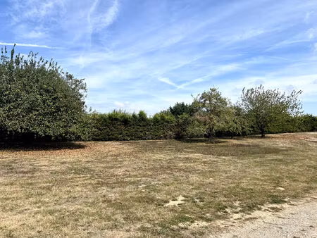 terrain constructible