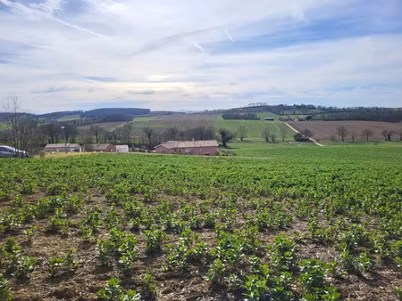 vente terrain 1148 m² puycasquier (32120)