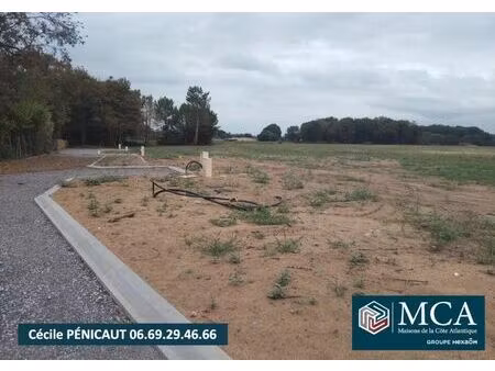 vente terrain 638 m² mées (40990)