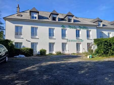 vente immeuble à saint-denis-du-maine (53170) : à vendre / 1350m² saint-denis-du-maine