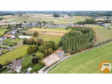 oosterzele - landelijk gelegen woning met stallen  weides