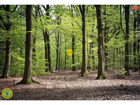 vente locaux professionnels à pierrefort (15230)  1 700 €