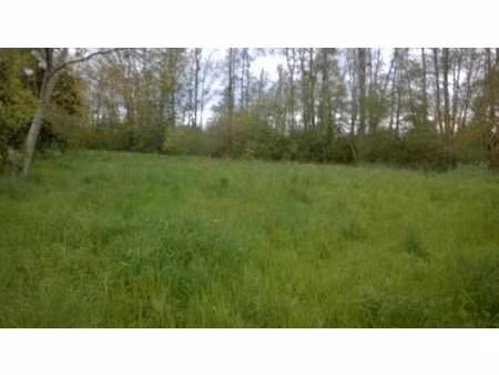 vente terrain à lézigné (49430) : à vendre / lézigné