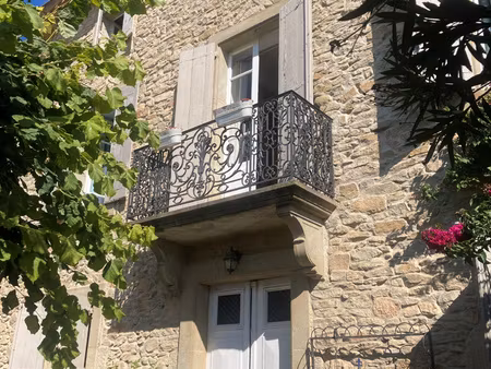 minervois  20mn carcassonne est  maison de maitre 8 chambres