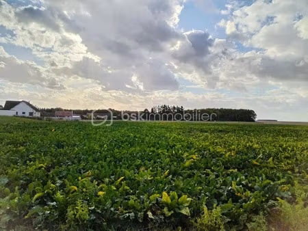 vente terrain 628 m² à cauroy (08310)  41 159 €