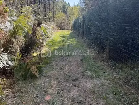 vente terrain 1458 m² à fossemagne (24210)  6 000 €