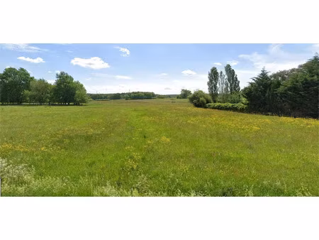 vente terrain 2824 m² à montpon-ménestérol (24700)  46 990 €