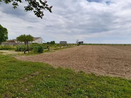 vente terrain 2006 m² à echallat (16170)  40 000 €