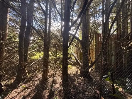 vente terrain 2041 m² à lunery (18400)  26 000 €