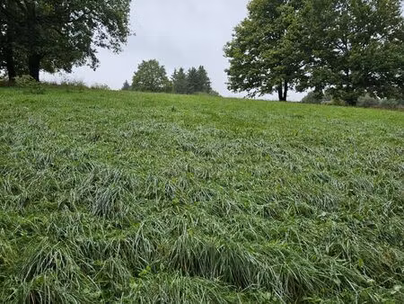 vente terrain 5931 m² villeneuve-sur-yonne (89500)