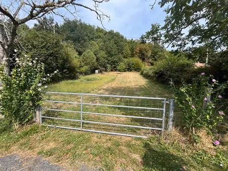 vente terrain 6560 m² à beaulieu-sur-dordogne (19120)  30 000 €
