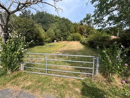 vente terrain 6560 m² à beaulieu-sur-dordogne (19120)  30 000 €