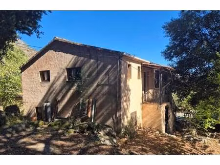 spitaletto alain capifrance