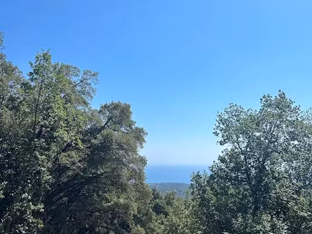vente terrain à batir 2700 m² à cervione (20221)  75 000 €