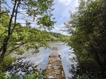 vente terrain 14580 m² à bussière-galant (87230)  40 000 €