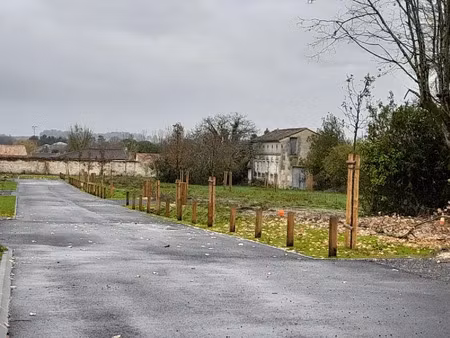 vente terrain 533 m² à jarnac (16200)  50 104 €