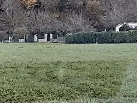 vente terrain 1087 m² à saint-brice (16100)  65 000 €