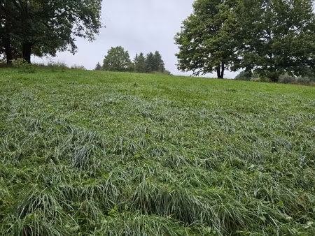 vente terrain à bâtir 5 931 m²