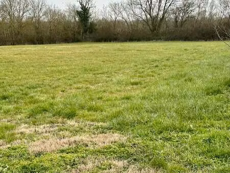 vente terrain à ciré-d'aunis (17290) : à vendre / 966m² ciré-d'aunis