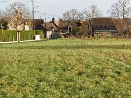 vente terrain 3090 m² à trogues (37220)  66 080 €