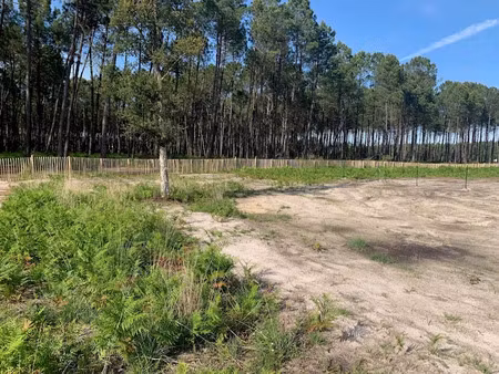 vente terrain 541 m² à vielle-saint-girons (40560)  105 000 €