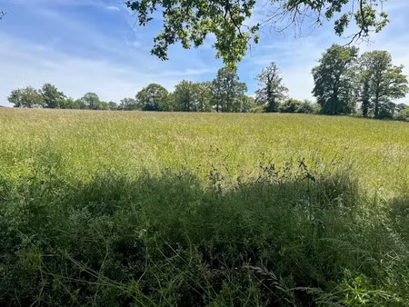 vente terrain 360046 m² à montrollet (16420)  135 550 €