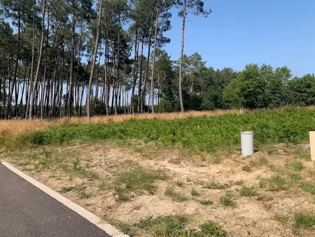 vente terrain 1159 m² à vielle-saint-girons (40560)  150 000 €