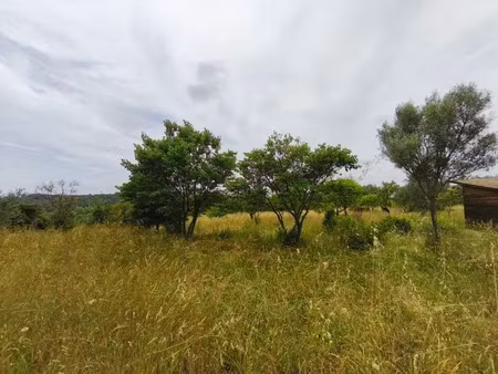 vente terrain à saint-georges-d'orques (34680)  196 500 €