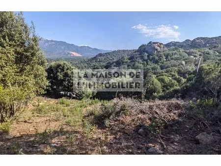 vente terrain à batir 8400 m² à figari (20114)  364 000 €