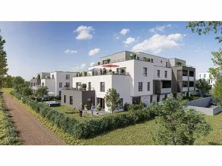 dynastie construction