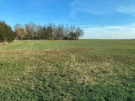 terrain constructible viabilisé à vendre