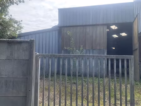 location locaux professionnels 0 pièces 500 m² à salies-de-bearn (64270)  700 €