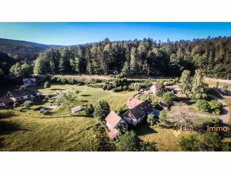 à vendre – superbe terrain constructible et viabilisé au hoh