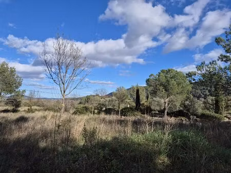 terrain constructible