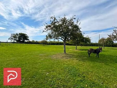stéphane plaza immobilier bernay