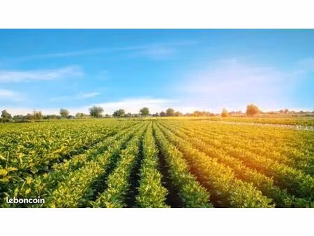 terrains zone verte proche de cabourg