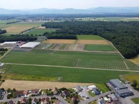 terrain constructible viabilisé à vendre