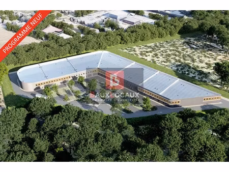 local d'activite - atelier a vendre