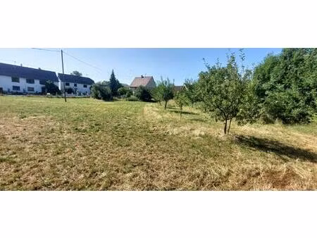 beau terrain plat à bâtir de 8.6 ares à dimbsthal